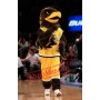 Basketball Eagle Mascot Costume