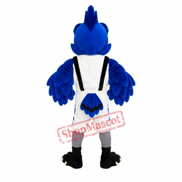Cute Blue Jay Mascot Costume Cute Blue Jay Mascot Costume