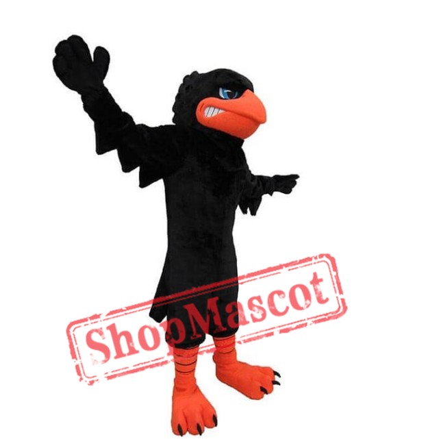 Black Crow Mascot Costume
