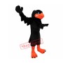 Black Crow Mascot Costume
