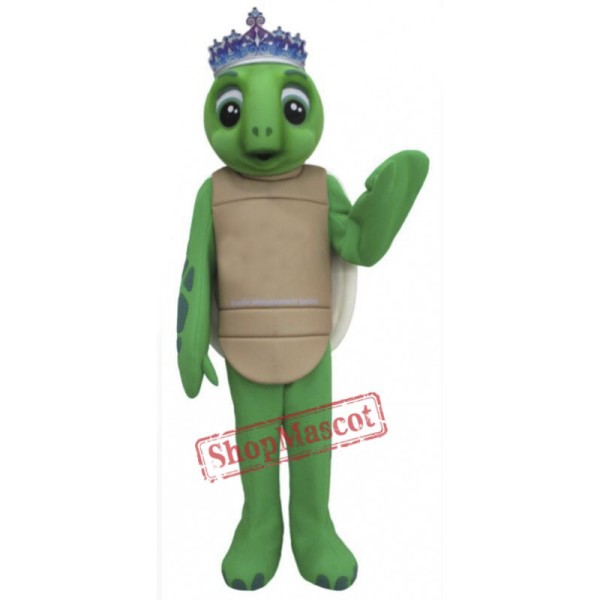 Toby Turtle Mascot Costumes
