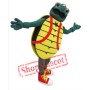 Childrens Hosp Turtle Mascot Costume