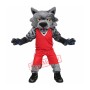 Sport Cat Mascot Costume