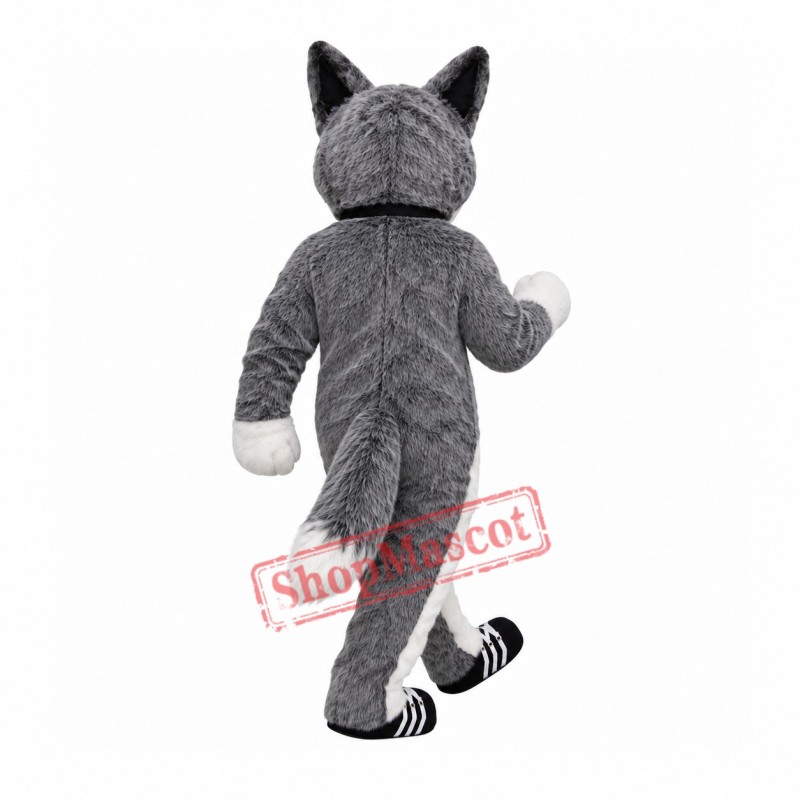 Cute Grey Dog Mascot Costume