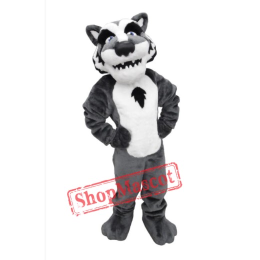 Reyburn Timberwolf Mascot Costume