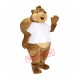 High Quality Cute Squirrel Mascot Costume