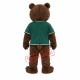 Fierce Brown Bear Mascot Costume