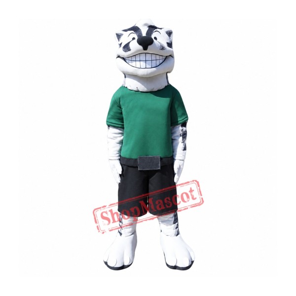 Badger Mascot Costume