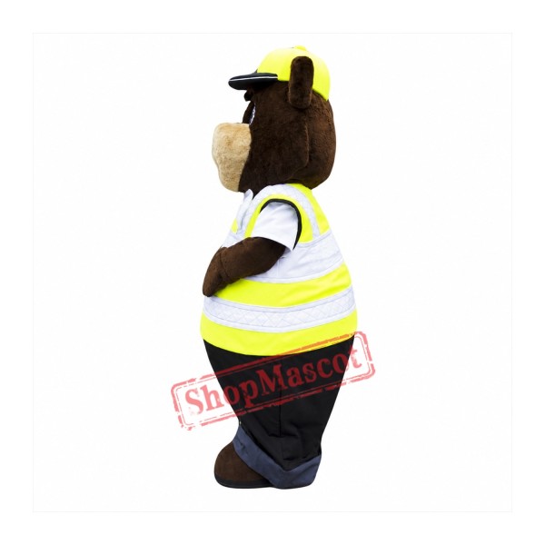 Sunny Bear Mascot Costume