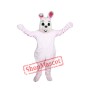Pink Easter Bunny Mascot Costume