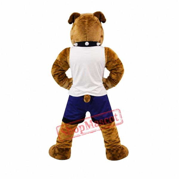 Sport Bull Dog Mascot Costume Sport Bull Dog Mascot Costume