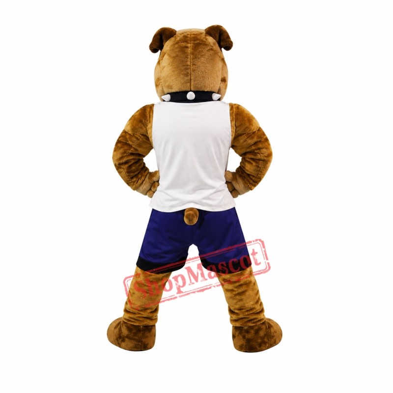 Sport Bull Dog Mascot Costume Sport Bull Dog Mascot Costume