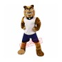 Sport Bull Dog Mascot Costume