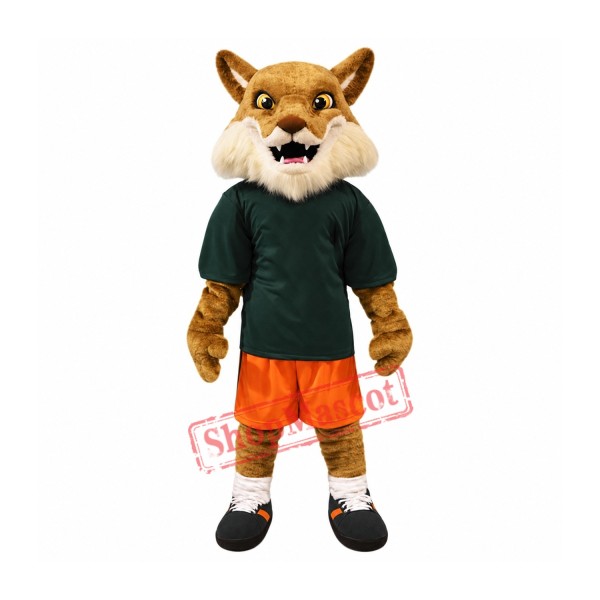 High Quality Coyote Mascot Costume