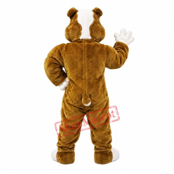 Power Muscular Bulldog Mascot Costume Power Muscular Bulldog Mascot Costume