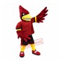 College Cardinal Mascot Costume
