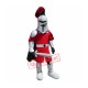 Sword Knight Mascot Costume