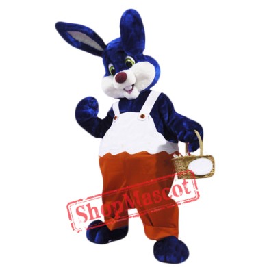 Blue & White Rabbit Mascot Costume
