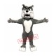Professional Quality Bulldog Mascot Costume Professional Quality Bulldog Mascot Costume