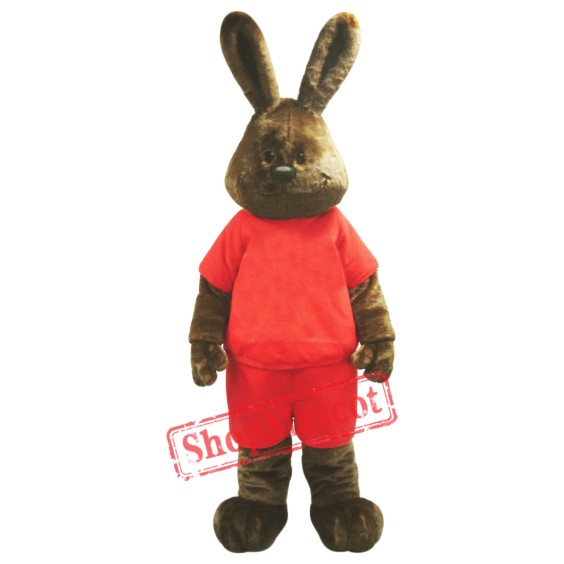 Happy Brown Rabbit Mascot Costume