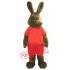 Happy Brown Rabbit Mascot Costume