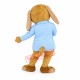 Doctor Dog Mascot Costume Doctor Dog Mascot Costume