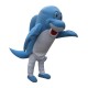 Blue Dolphin Mascot Costumes