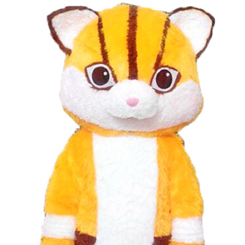 Tiger Mascot costumes