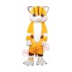 Tiger Mascot costumes