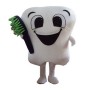 Teeth and toothbrush Mascot Costume