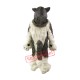 Gray Wolf Husky Dog Mascot Costumes Gray Wolf Husky Dog Mascot Costumes