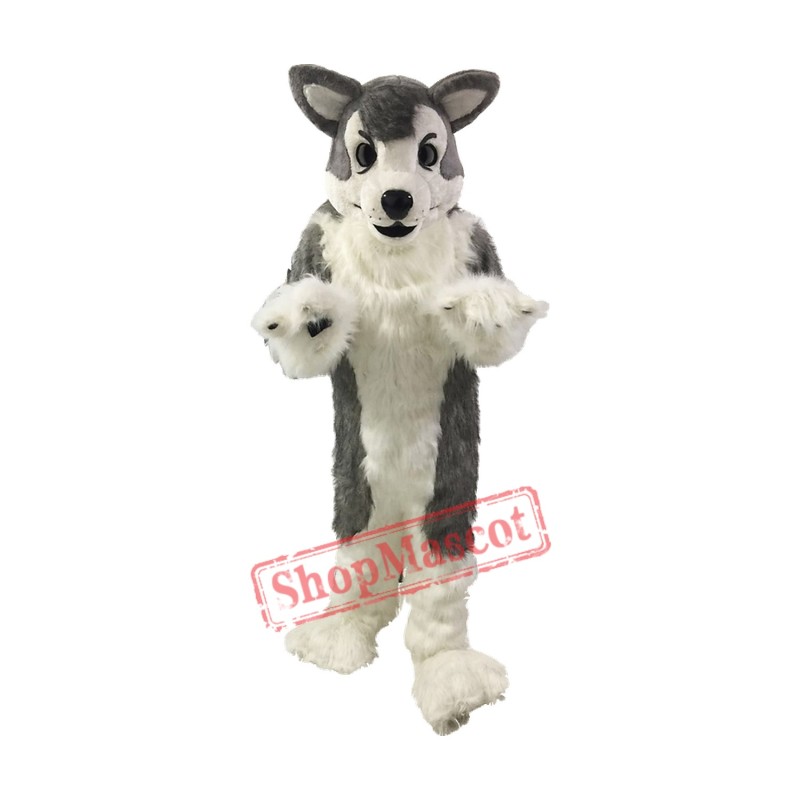 Gray Wolf Husky Dog Mascot Costumes Gray Wolf Husky Dog Mascot Costumes