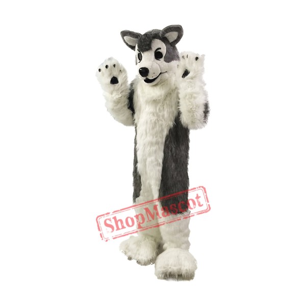 Gray Wolf Husky Dog Mascot Costumes