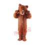 Grizzly Bear Lightweight Mascot Costume