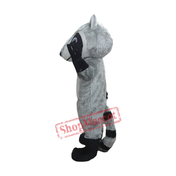 Raccoon Lightweight Mascot Costume Raccoon Lightweight Mascot Costume