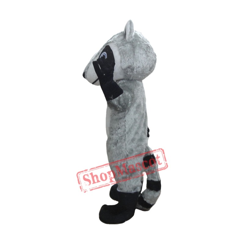 Raccoon Lightweight Mascot Costume Raccoon Lightweight Mascot Costume