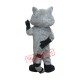 Raccoon Lightweight Mascot Costume Raccoon Lightweight Mascot Costume