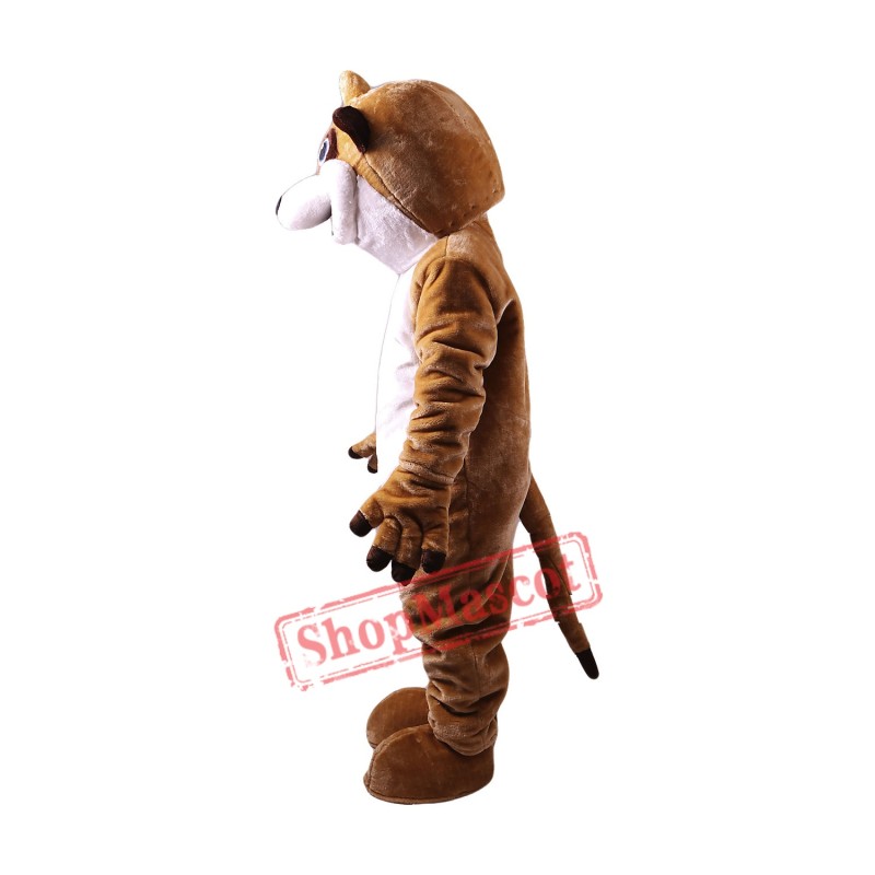 Meerkat Lightweight Costume Mascot Free Shipping Meerkat Lightweight Costume Mascot Free Shipping
