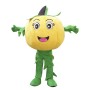 Halloween Pumpkin Mascot Costume Vegetable Costume for Adult