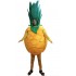 Fruit Pineapple Mascot Costume Free Shipping