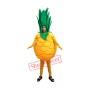 Fruit Pineapple Mascot Costume Free Shipping