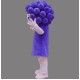 Purple Grape Mascot Costume Vegetable Costume for Adult