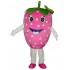 Pink Strawberry Fruit Mascot Costumes