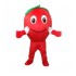 Red Apple Mascot Costume Free Shipping
