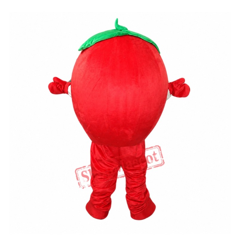 Red Apple Mascot Costume Free Shipping