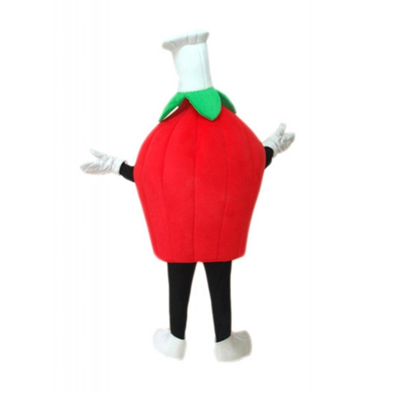 Strawberry Mascot Costume Free Shipping