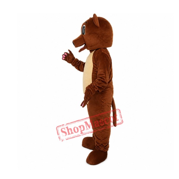Grizzly  Brown Bear Adult Mascot Costume