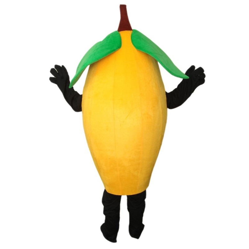 High Quality Lemon Mascot Costume