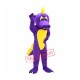 Dunkan Dragon Mascot Costume