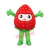 Strawberry Mascot Costume